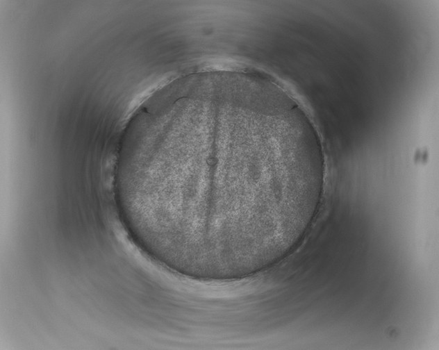 X0000112860010200909111520