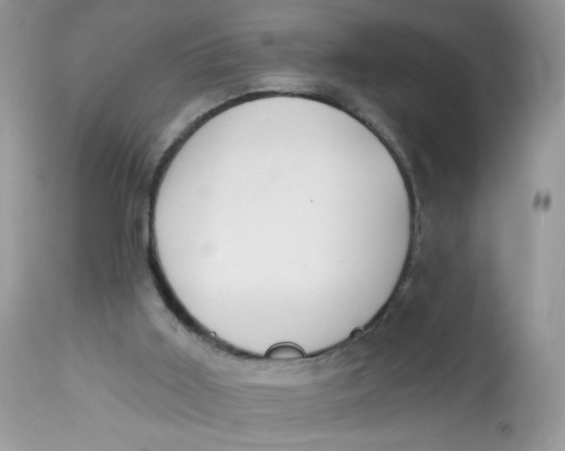 X0000112860011200909111520