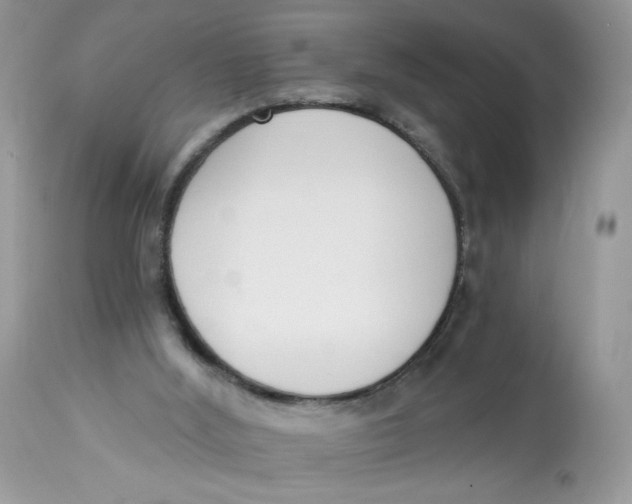 X0000112860012200909111519