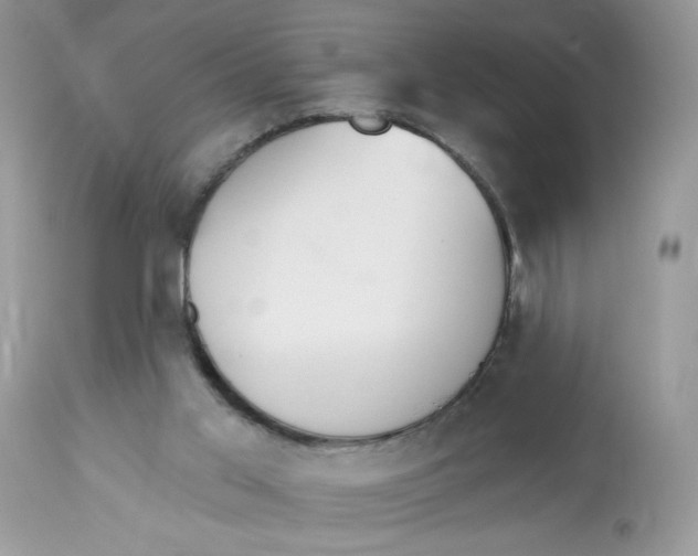 X0000112860013200909111519