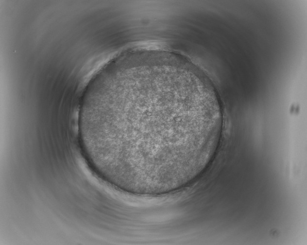 X0000112860014200909111519