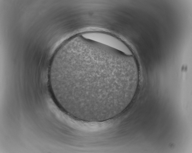 X0000112860015200909111519