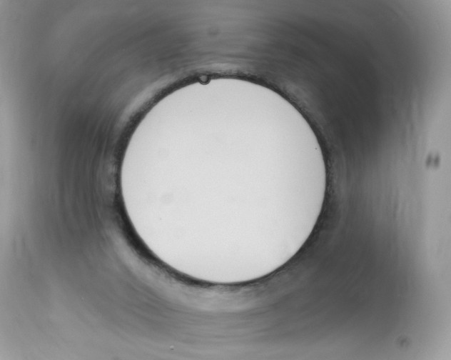 X0000112860016200909111519