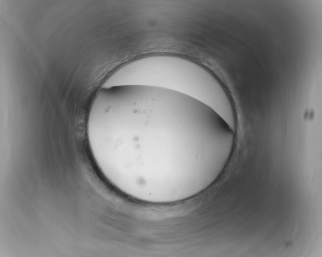 X0000112860017200909111519