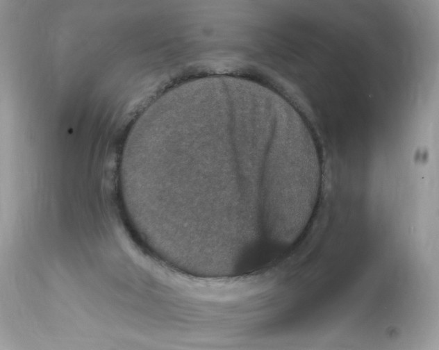 X0000112860018200909111519