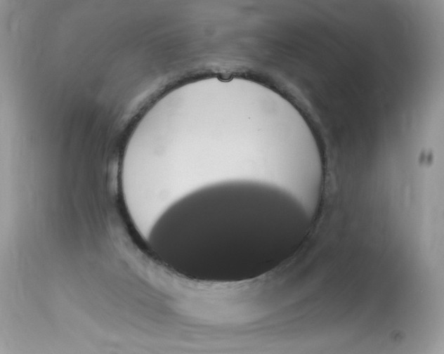 X0000112860019200909111519