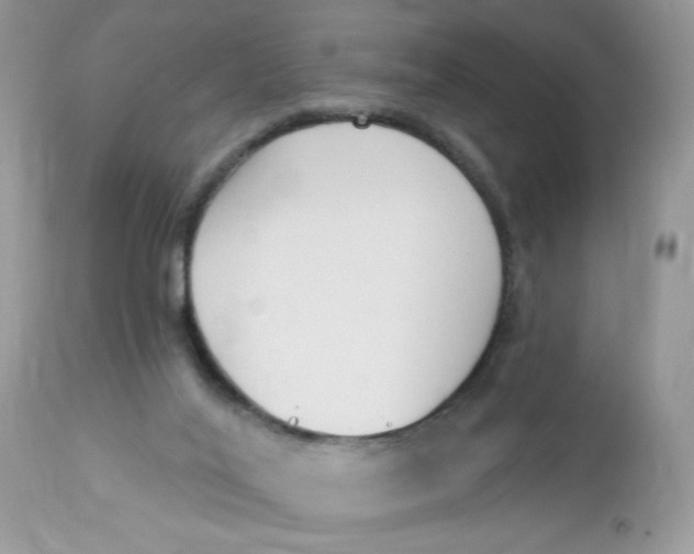 X0000112860020200909111519