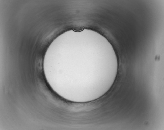 X0000112860021200909111519