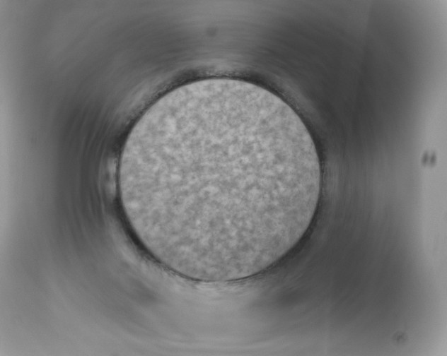 X0000112860022200909111519