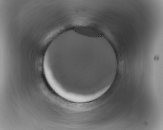 X0000112860023200909111519