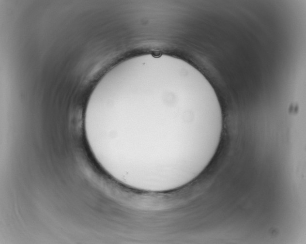 X0000112860024200909111519