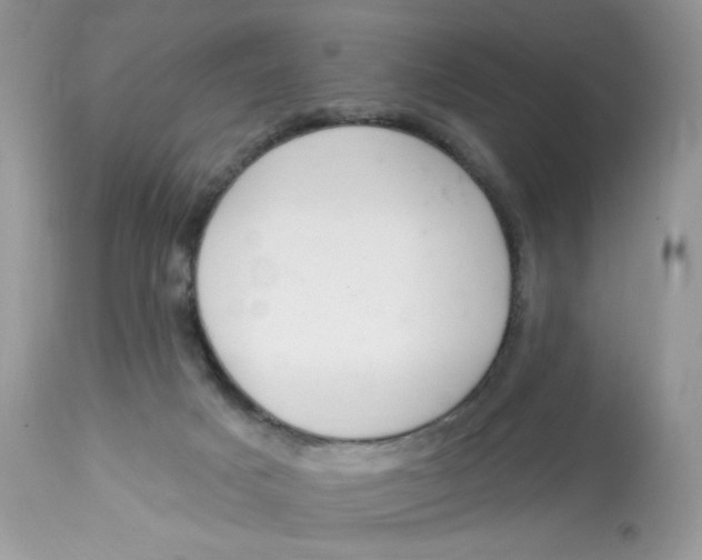 X0000112860025200909111519