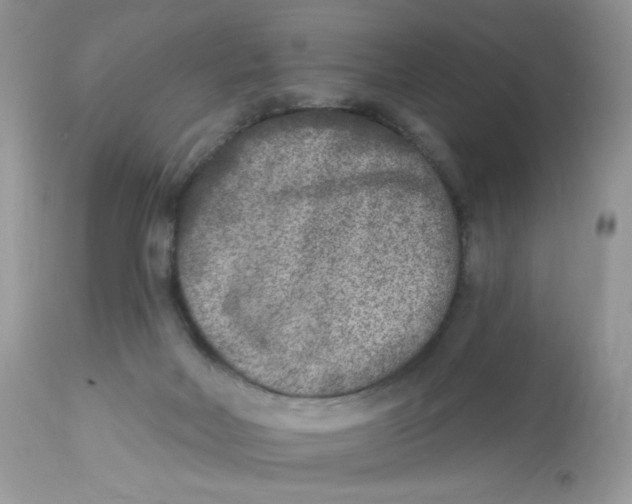 X0000112860026200909111519