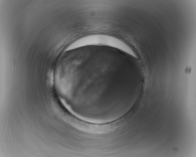 X0000112860027200909111519