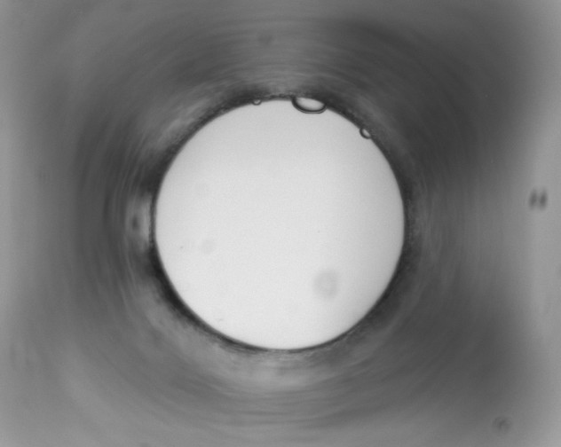 X0000112860028200909111519