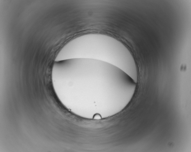 X0000112860029200909111519