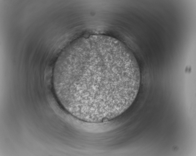 X0000112860030200909111519