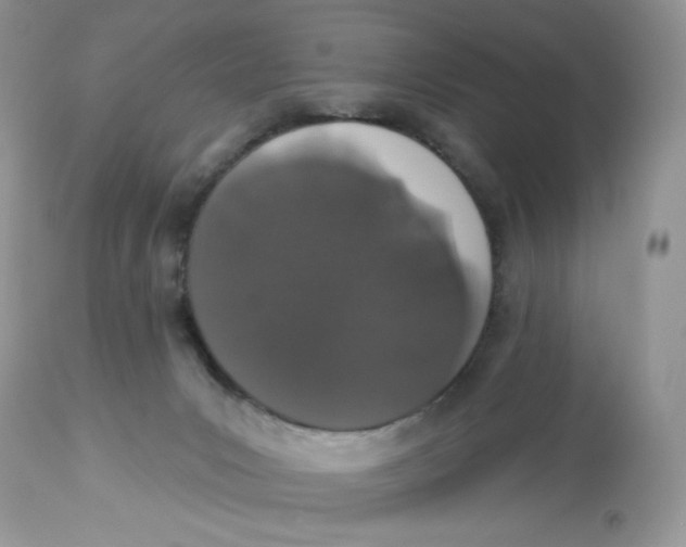 X0000112860031200909111519