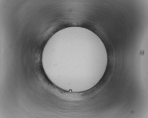 X0000112860032200909111519