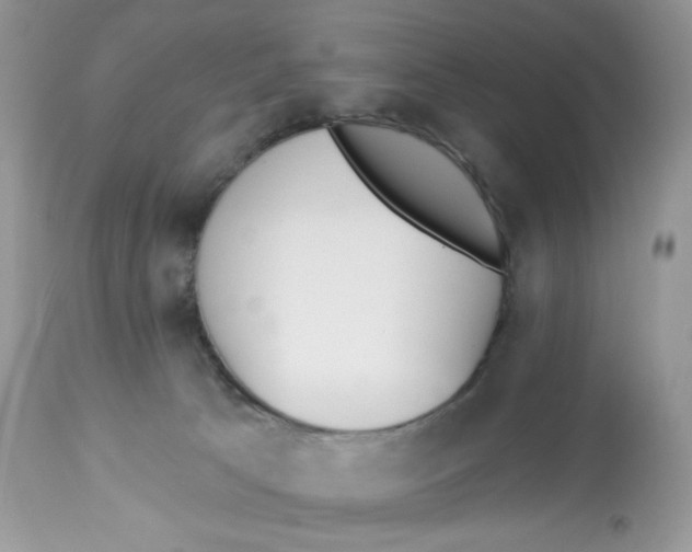 X0000112860033200909111519