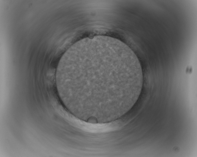 X0000112860034200909111519