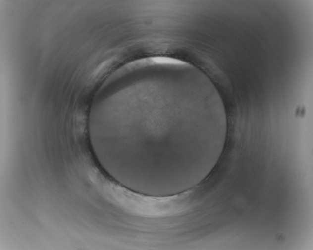 X0000112860035200909111519