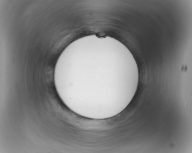 X0000112860036200909111519