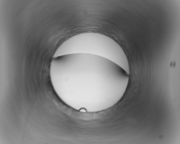 X0000112860037200909111519