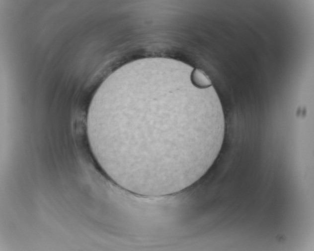 X0000112860038200909111519