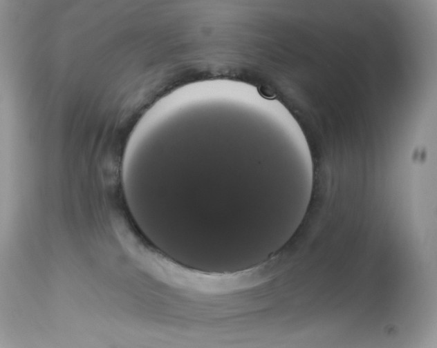 X0000112860039200909111519