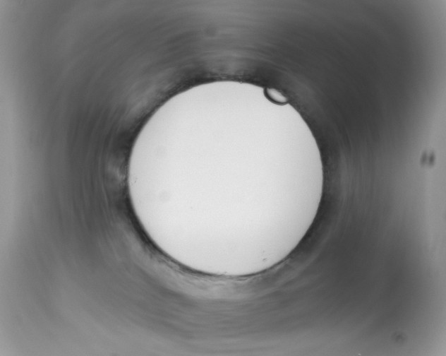 X0000112860040200909111519