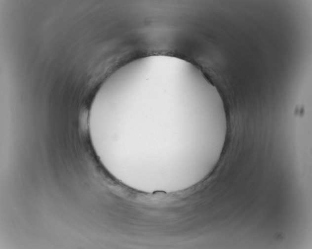 X0000112860041200909111519