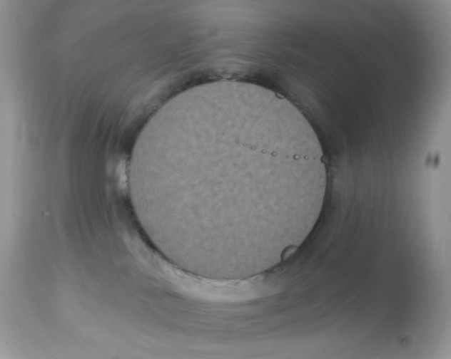 X0000112860042200909111519