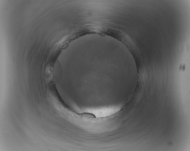 X0000112860043200909111519