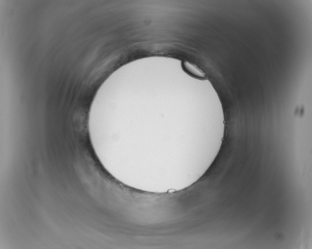 X0000112860044200909111519