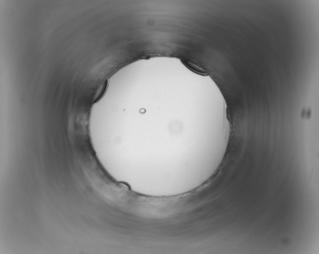 X0000112860045200909111519