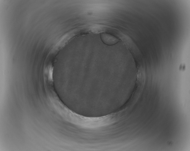 X0000112860046200909111519