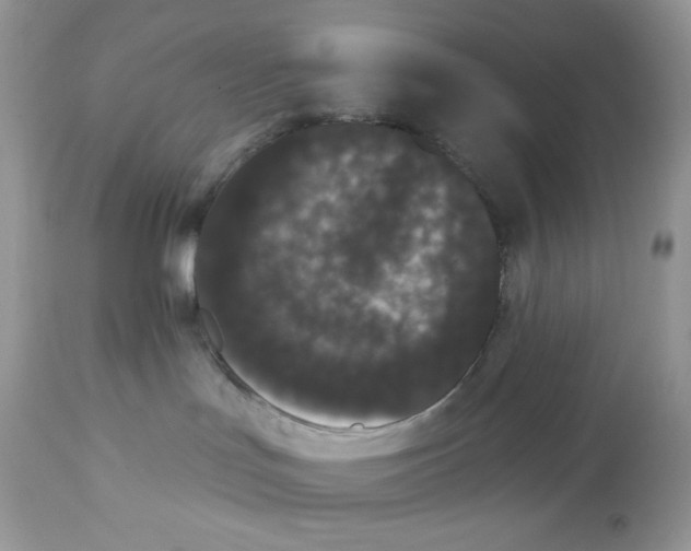 X0000112860047200909111519