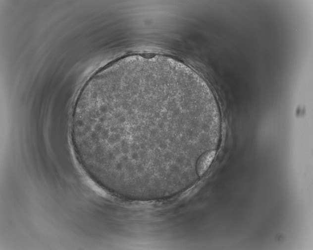 X0000112860049200909111518