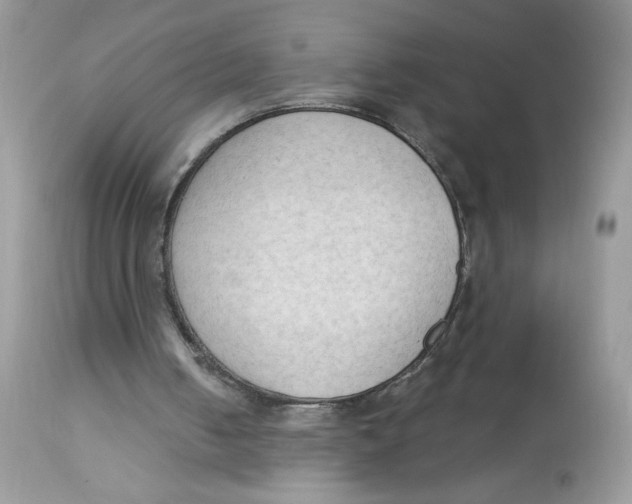 X0000112860050200909111518