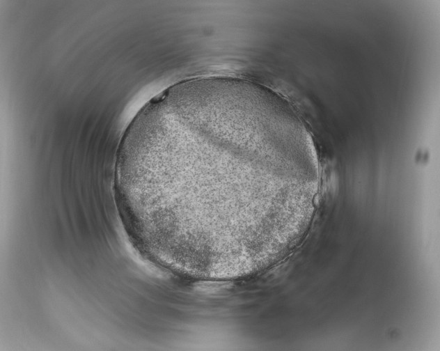 X0000112860051200909111518