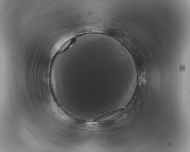 X0000112860052200909111518