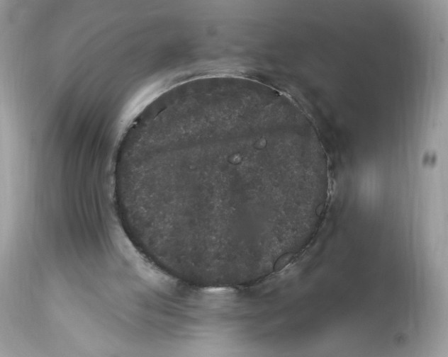 X0000112860053200909111518