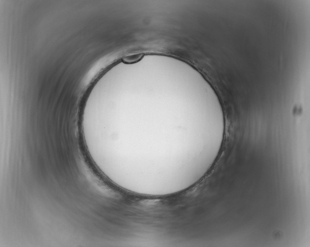 X0000112860054200909111518