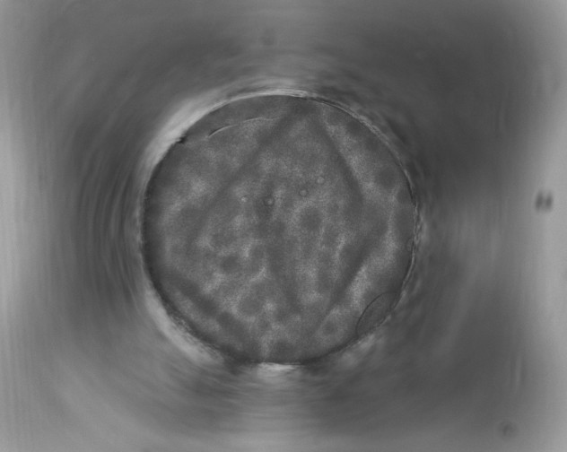 X0000112860055200909111518