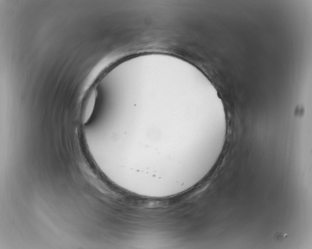 X0000112860056200909111518