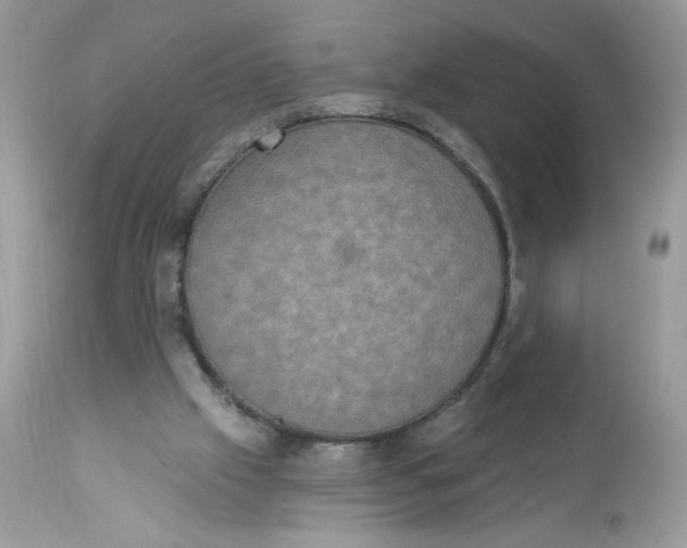 X0000112860057200909111518