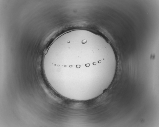 X0000112860058200909111518