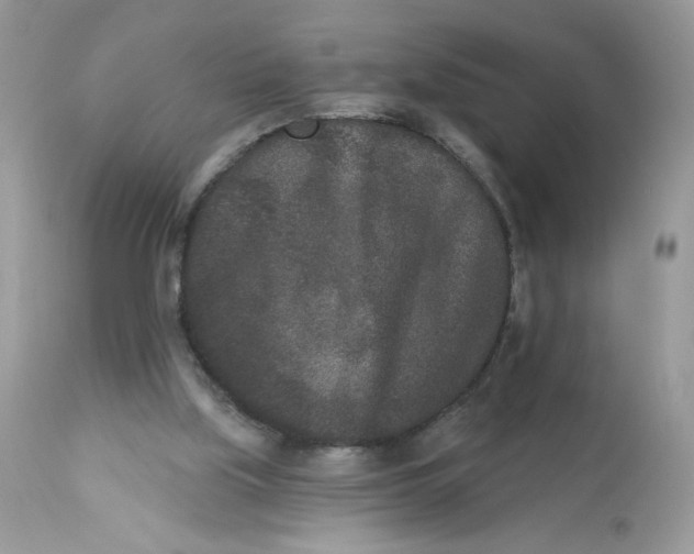 X0000112860059200909111518