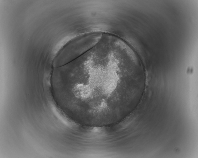 X0000112860060200909111518